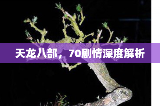 70剧情深度解析图片