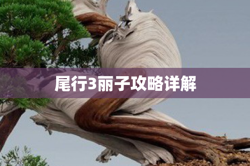 尾行3丽子攻略详解图片