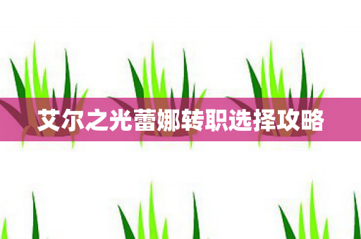 艾尔之光蕾娜转职选择攻略图片