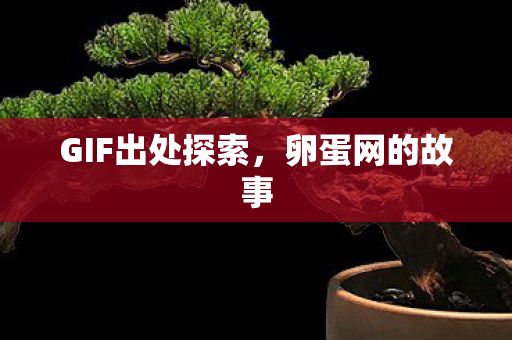 GIF出处探索图片