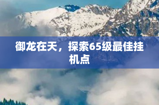 探索65级最佳挂机点图片
