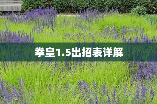 5出招表详解图片