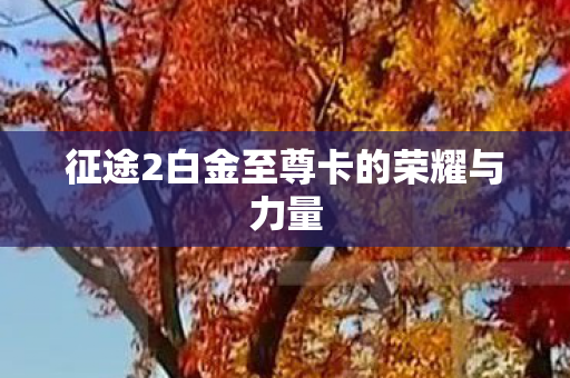 征途2白金至尊卡的荣耀与力量图片