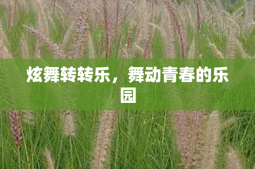 舞动青春的乐园图片