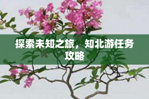 知北游任务攻略图片
