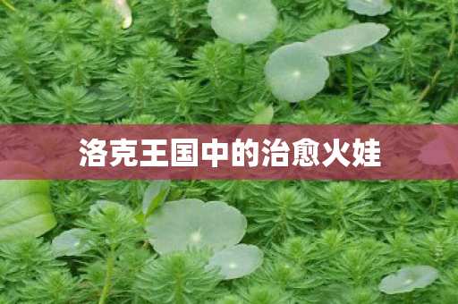 洛克王国中的治愈火娃图片