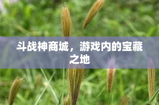 游戏内的宝藏之地图片