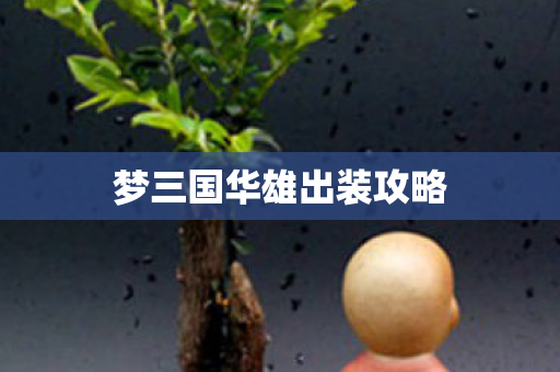 梦三国华雄出装攻略图片