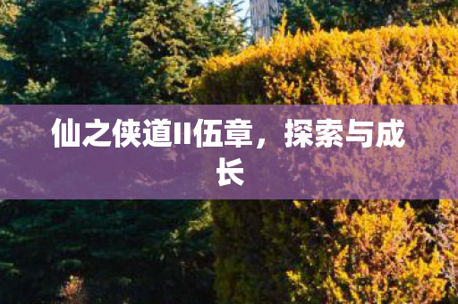 仙之侠道II伍章图片