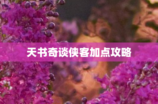 天书奇谈侠客加点攻略图片