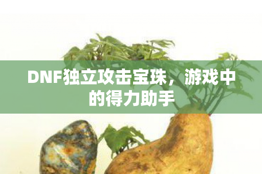 DNF独立攻击宝珠图片