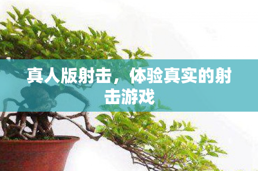 体验真实的射击游戏图片