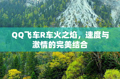 速度与激情的完美结合图片