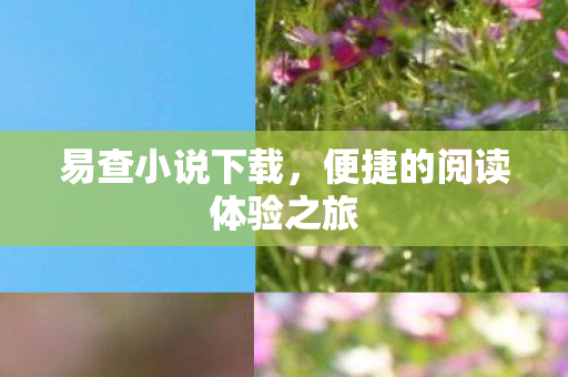 便捷的阅读体验之旅图片