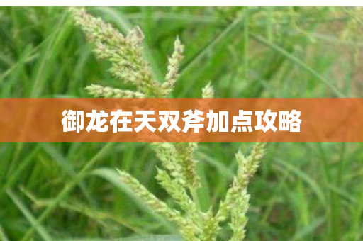 御龙在天双斧加点攻略图片