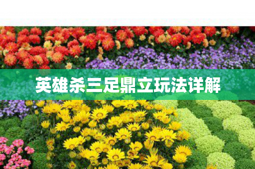 英雄杀三足鼎立玩法详解图片