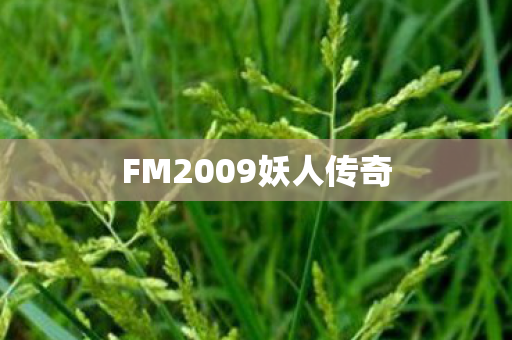 FM2009妖人传奇图片