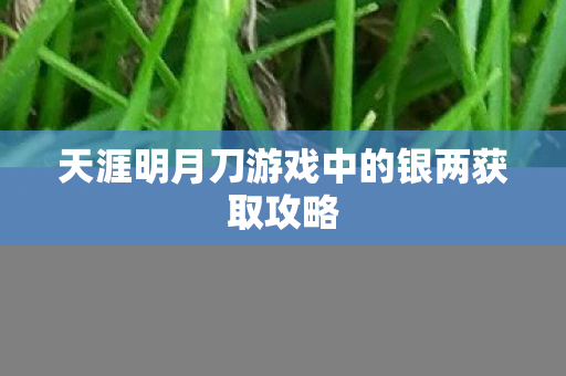 天涯明月刀游戏中的银两获取攻略图片