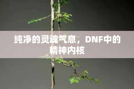 DNF中的精神内核图片