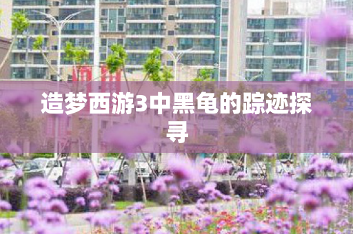 造梦西游3中黑龟的踪迹探寻图片