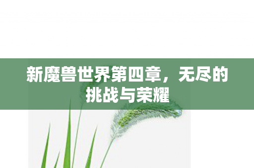 新魔兽世界第四章图片