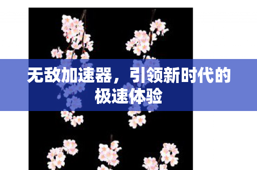 引领新时代的极速体验图片