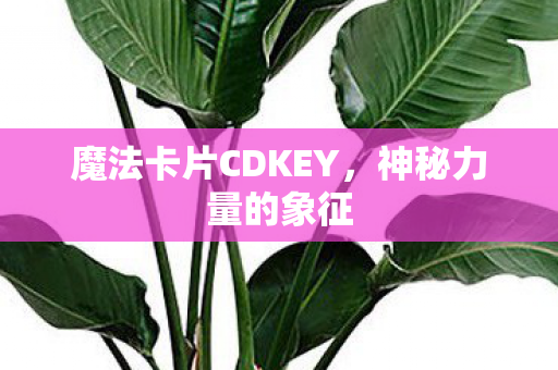 魔法卡片CDKEY图片