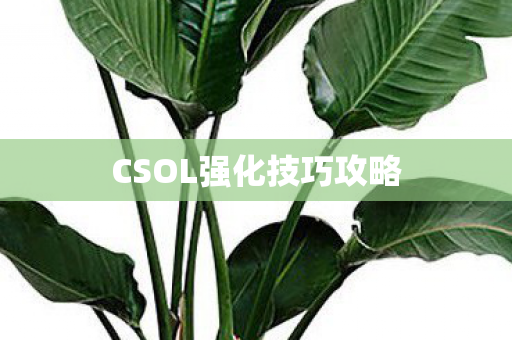 CSOL强化技巧攻略图片