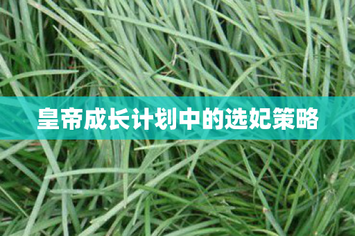 皇帝成长计划中的选妃策略图片