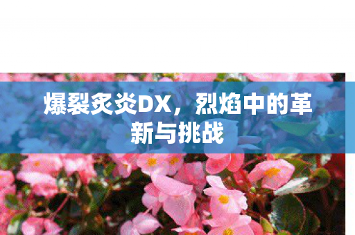 烈焰中的革新与挑战图片
