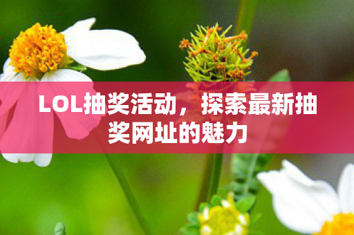 探索最新抽奖网址的魅力图片