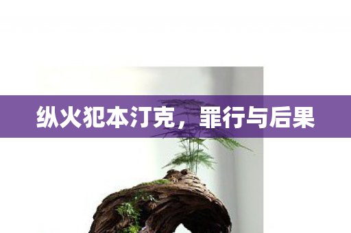 纵火犯本汀克图片