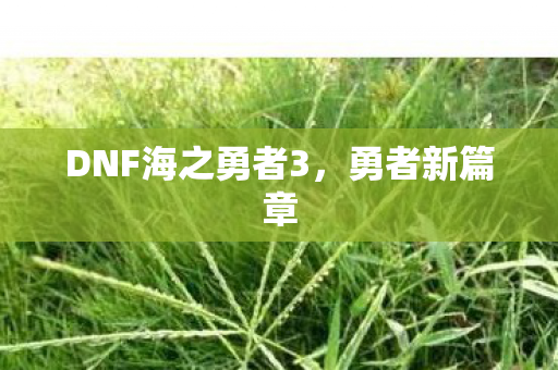 DNF海之勇者3图片