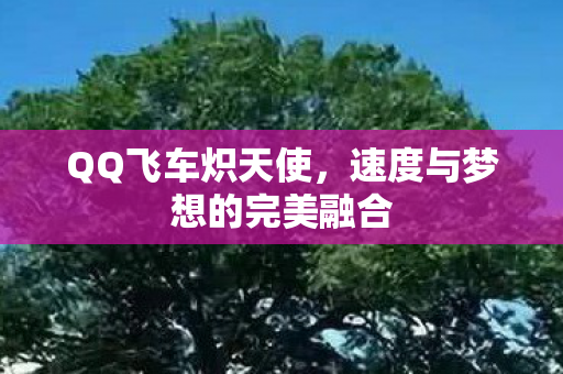 速度与梦想的完美融合图片