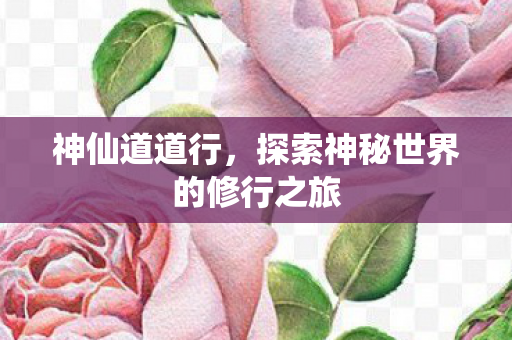 探索神秘世界的修行之旅图片