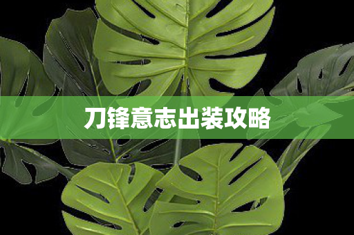 刀锋意志出装攻略图片