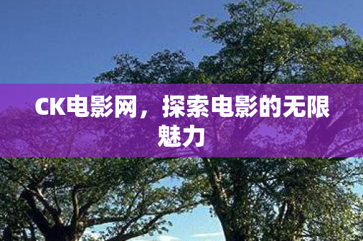 探索电影的无限魅力图片