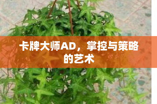 掌控与策略的艺术图片