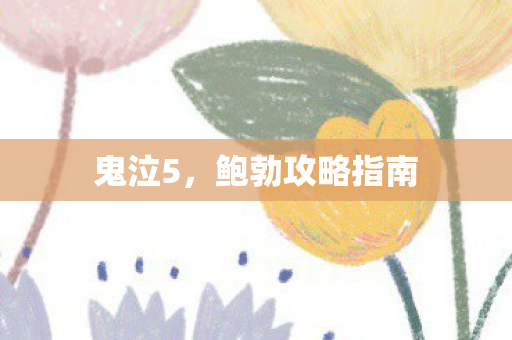 鲍勃攻略指南图片