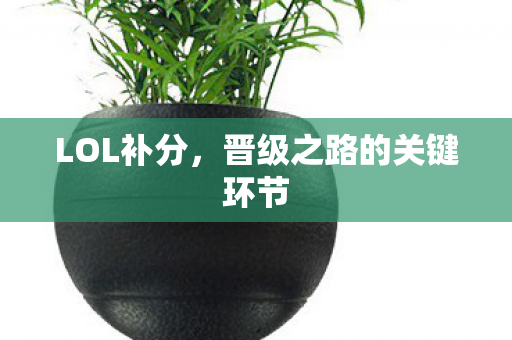 晋级之路的关键环节图片