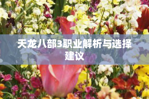 天龙八部3职业解析与选择建议图片
