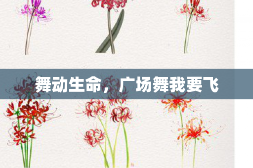 广场舞我要飞图片