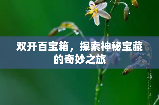 探索神秘宝藏的奇妙之旅图片