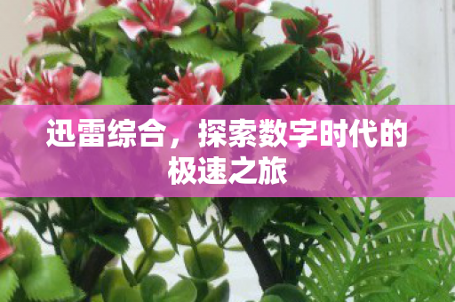 探索数字时代的极速之旅图片