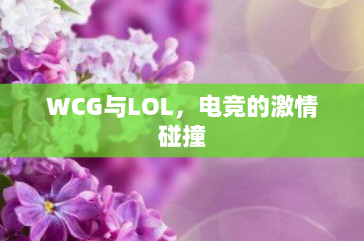 WCG与LOL图片
