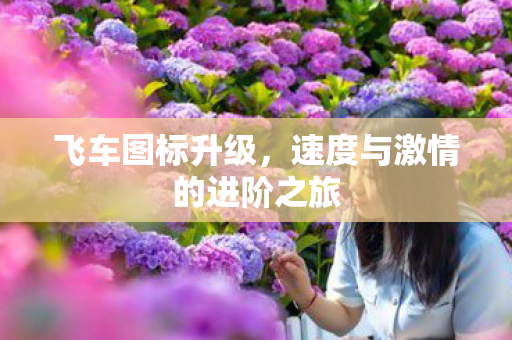 速度与激情的进阶之旅图片