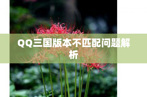 QQ三国版本不匹配问题解析图片