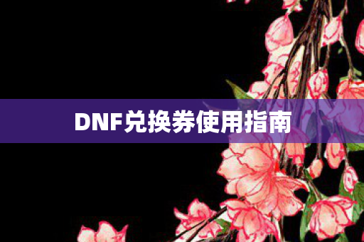 DNF兑换券使用指南图片