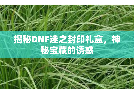 揭秘DNF迷之封印礼盒图片