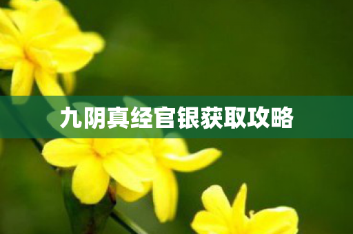 九阴真经官银获取攻略图片